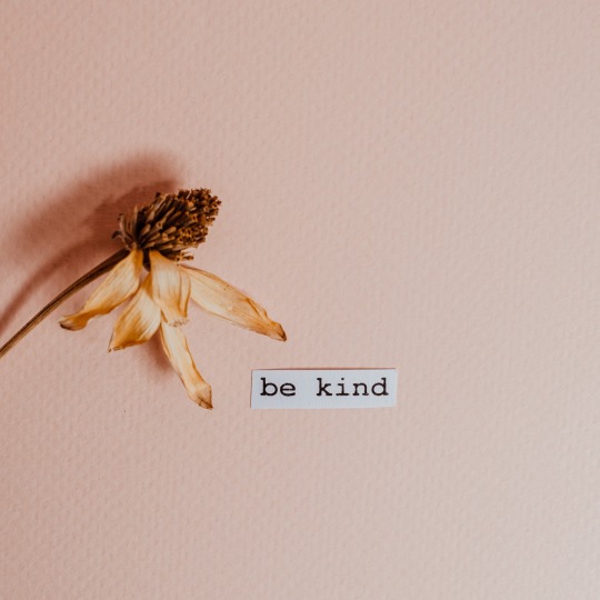 A picture of a dry flower and a piece of paper with the words "Be kind".